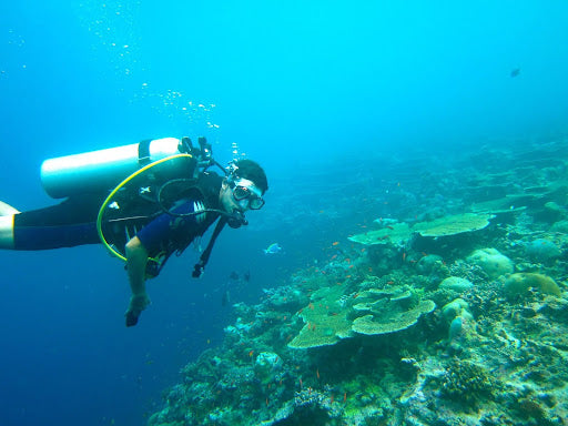 scuba diving