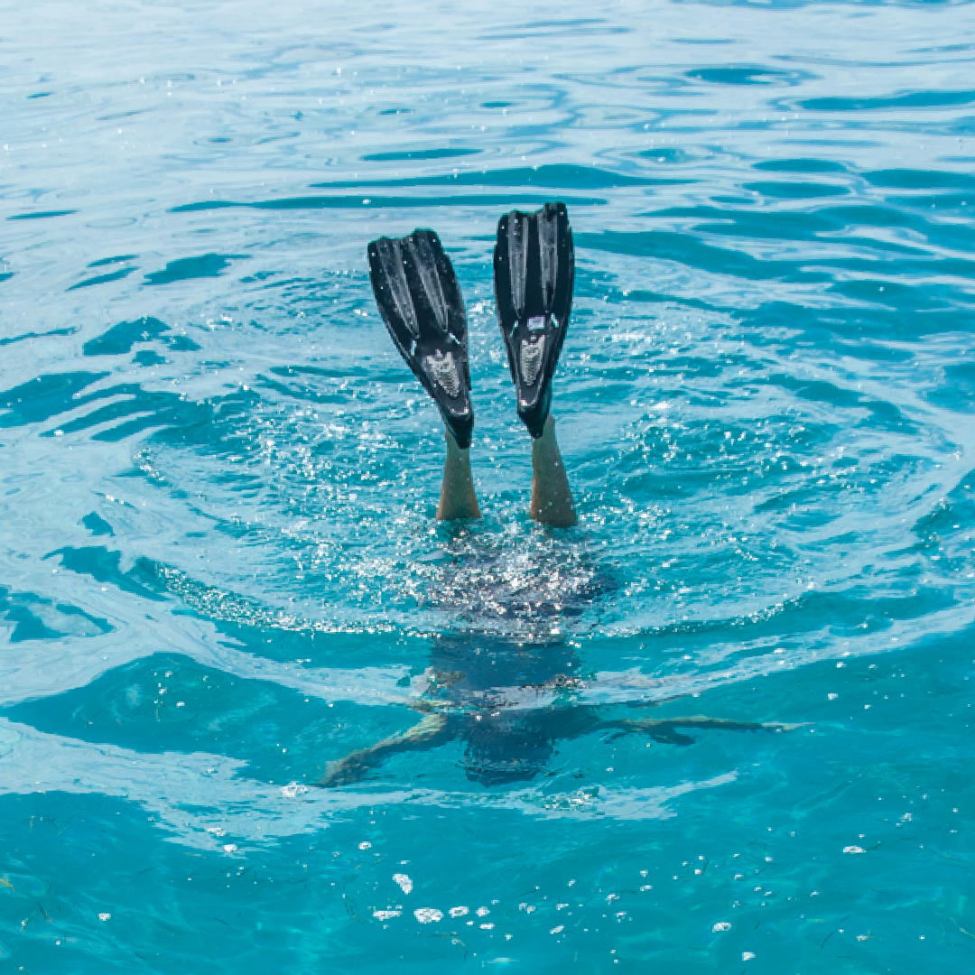 FIN SEPARATES SVS Pro Full Foot Fin GUARDIAN WATER SPORTS Snorkeling, Scuba Diving, Swimming, Professional Gear, Marine Grade. Ocean, Sea