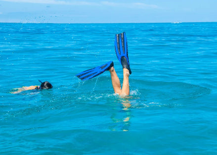 Snorkeler wearing SVS PRO FULL FOOT FINS in open water during Guardian's free online snorkeling course
